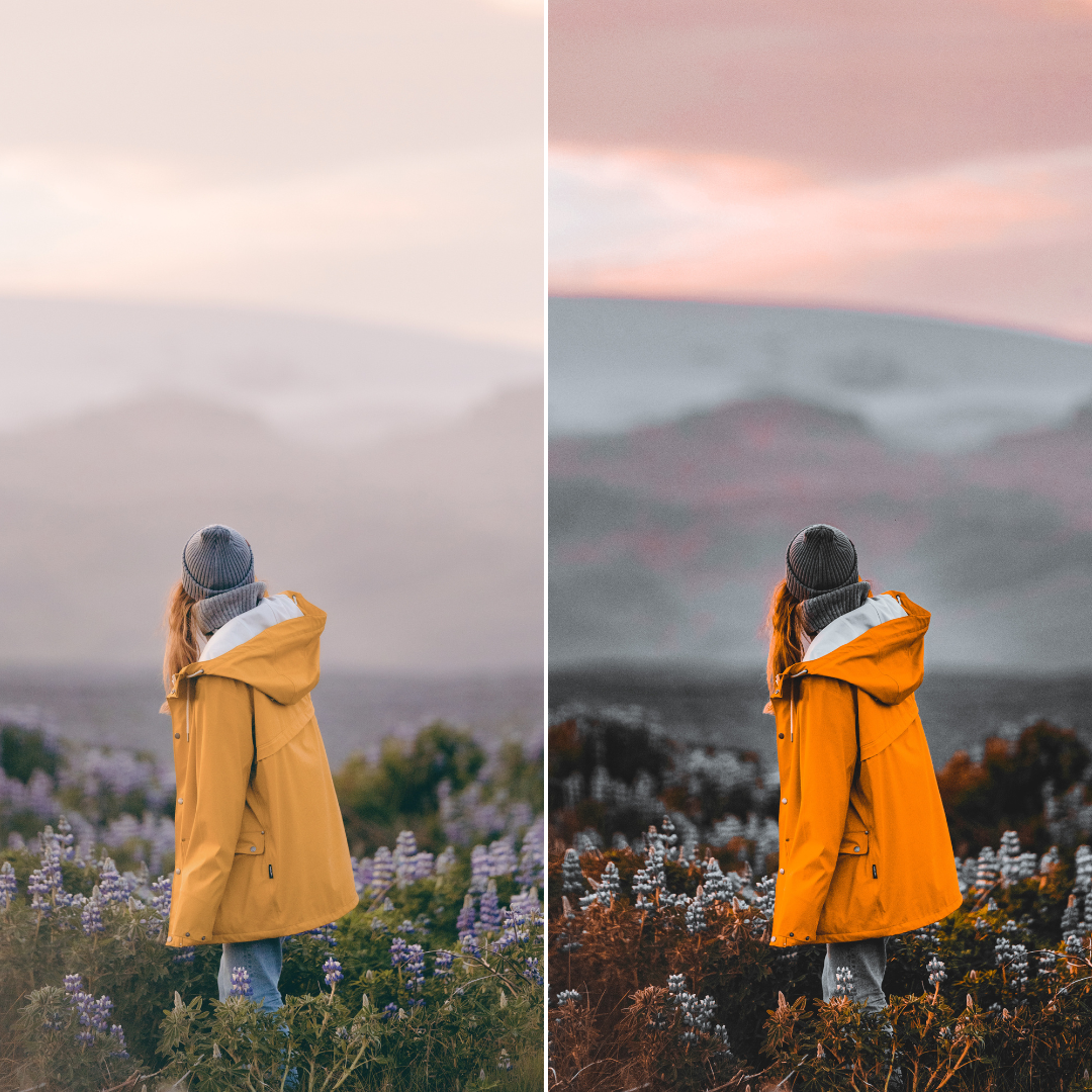 Master's Presets Bundle Pro 1600+