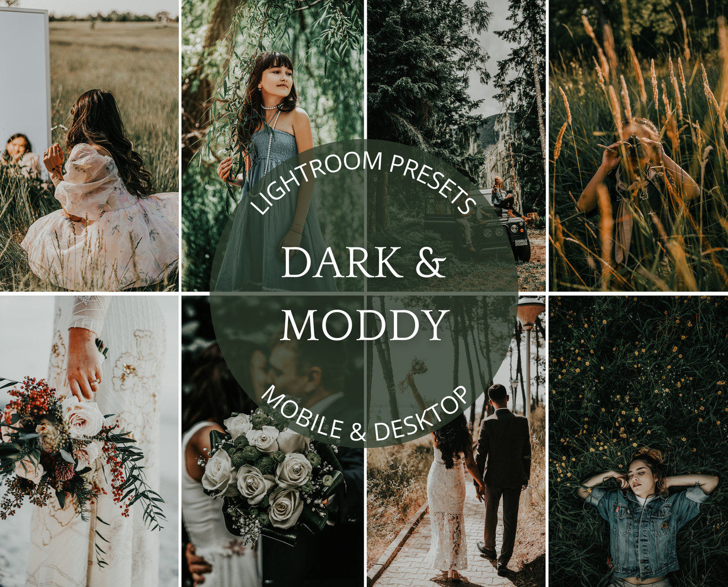 Dark & Moddy